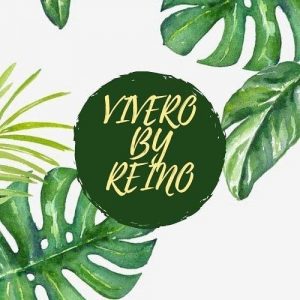 Vivero by Reino