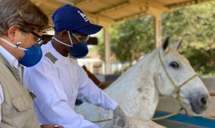 RÍO CUARTO COMENZÓ A UTILIZAR SUERO EQUINO PARA COMBATIR EL CORONAVIRUS