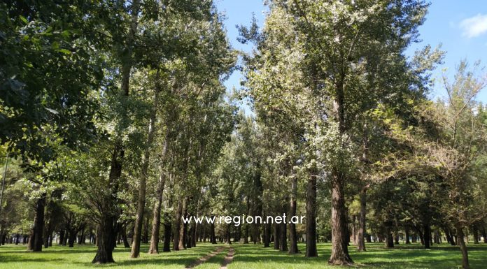 CONTROL ESTRICTO PARA LA PREVENCIÓN DE DISTURBIOS Y AMPLIACIÓN DE HORARIOS A BARES PARQUE CENTENARIO