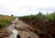 5 FAMILIAS ISLADAS POR LA INUNDACION EN SUS CAMPOS carnerillo