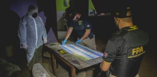 FPA DESARTICULÓ DOS ORGANIZACIONES NARCOS EN EL ESTE PROVINCIAL Y SANTA FE