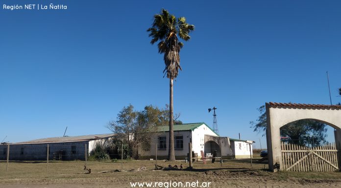 LA NUEVA ÑATITA PRONTO A INAUGURARSE