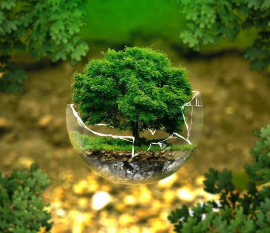 PELICULAS Y DOCUMENTALES SOBRE MEDIO AMBIENTE