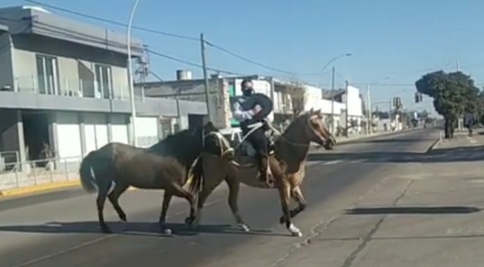 DESDE HERNANDO A DEHEZA EN CABALLO PARA RECIBIR SU DIPLOMA DE ABOGADO