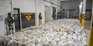 A MÁS DE 363 MILLONES DE PESOS, ASCIENDE EL VALOR DE LOS ESTUPEFACIENTES INCINERADOS POR LA FPA