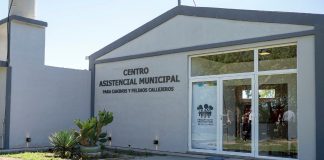 CREAN UN CENTRO ASISTENCIAL PARA PERROS Y GATOS CALLEJEROS EN RIO CUARTO