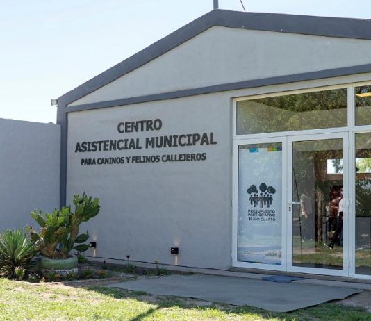 CREAN UN CENTRO ASISTENCIAL PARA PERROS Y GATOS CALLEJEROS EN RIO CUARTO