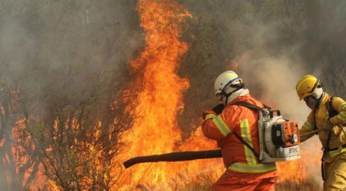 REGIÓN: FESTEJOS POR EL DIA DEL BOMBERO VOLUNTARIO