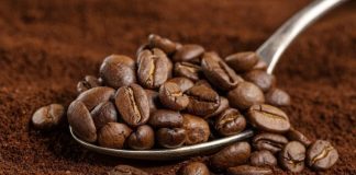 TIPOS DE CAFÉ Y CUÁNTO DURA SU AROMA