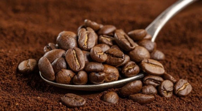 TIPOS DE CAFÉ Y CUÁNTO DURA SU AROMA