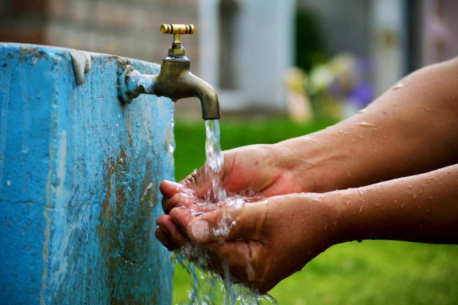 Día Nacional del Agua: ¿por qué se celebra el 31 de marzo y cómo cuidar este recurso vital?