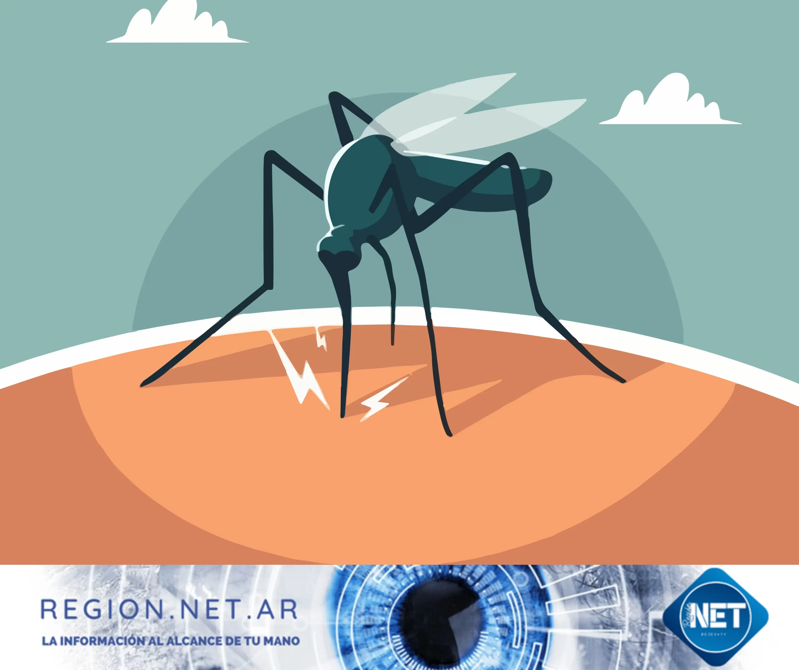 Alerta sanitaria en Córdoba: se disparan los casos de dengue