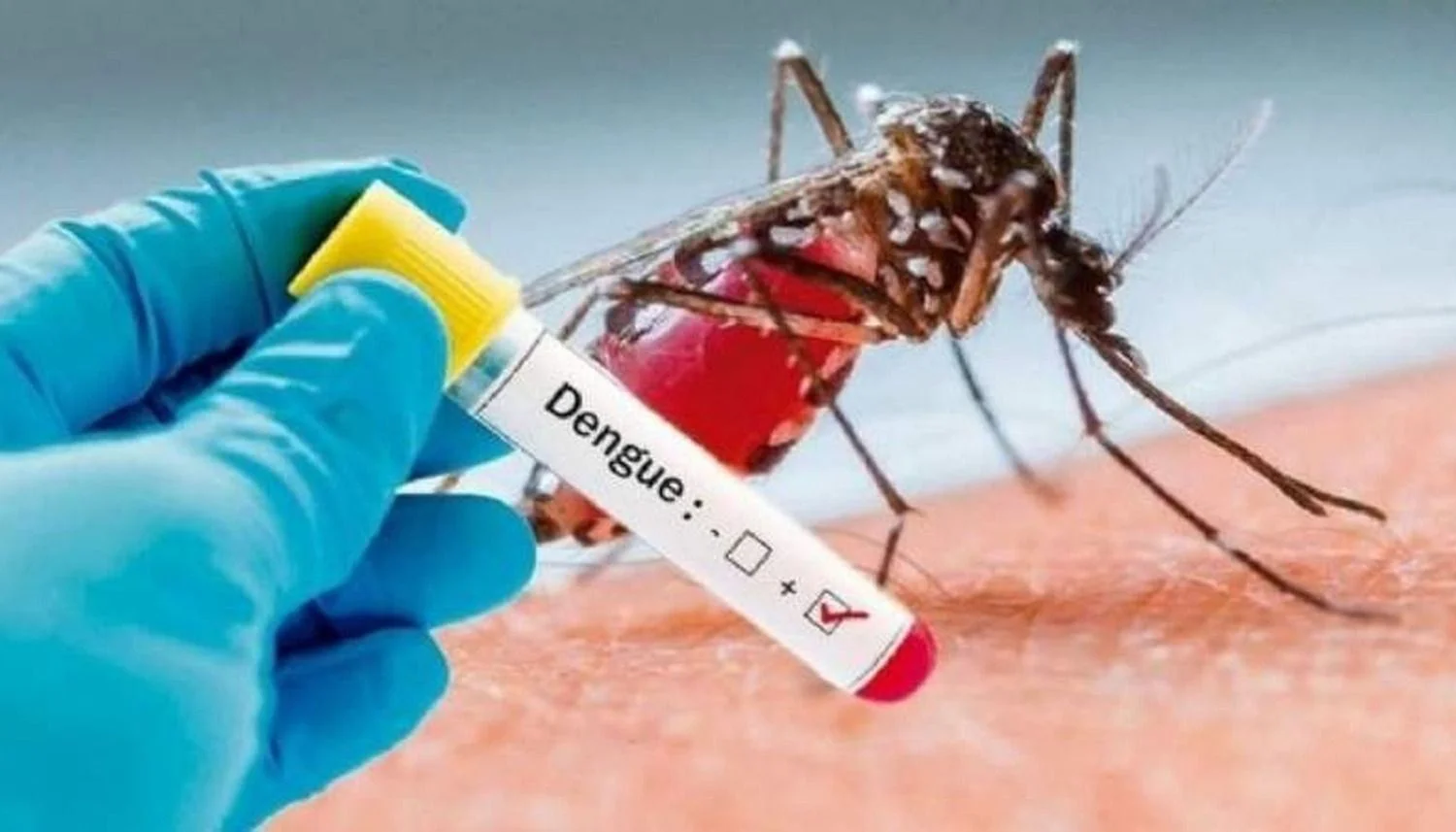 Detectan un nuevo tipo de dengue en Argentina que puede causar más casos graves