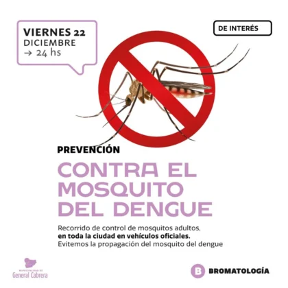 Dengue: los municipios de la región lanzan campañas de concientización y fumigación para evitar la proliferación de mosquitos