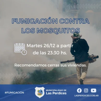 Dengue: los municipios de la región lanzan campañas de concientización y fumigación para evitar la proliferación de mosquitos