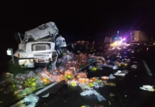 Vicuña Mackenna: choque fatal entre dos camiones en la Ruta Nacional 7