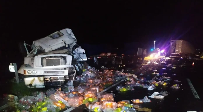 Vicuña Mackenna: choque fatal entre dos camiones en la Ruta Nacional 7