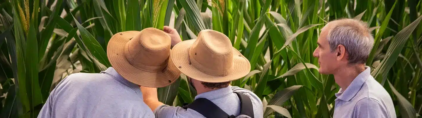 Bayer y Prodeman: Alianza estratégica para potenciar la agricultura regenerativa.