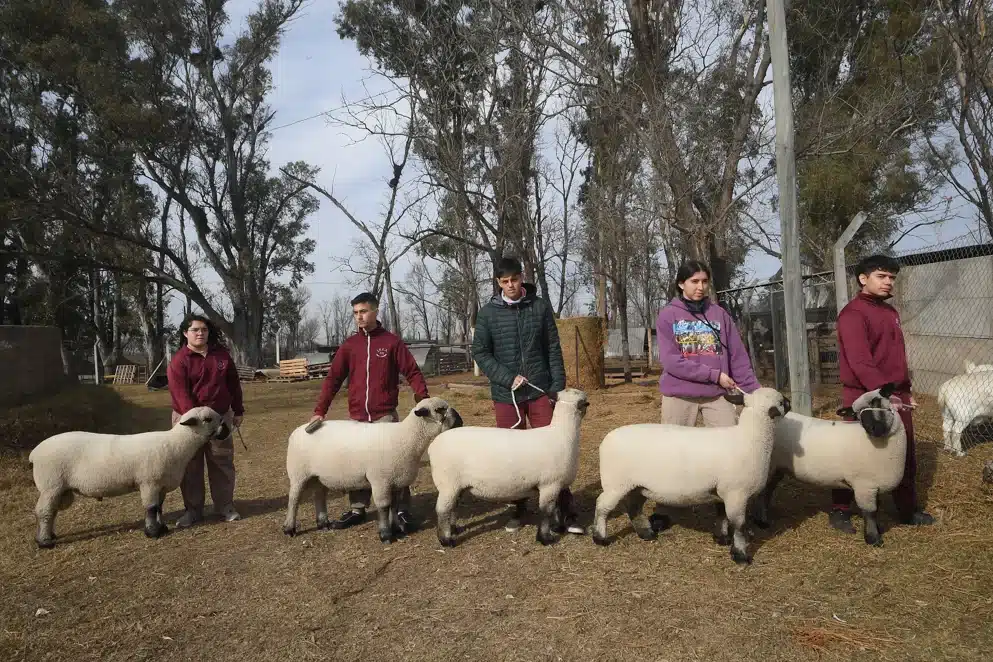 IPEA 291 brilla en la Expo Rural de Palermo: el colegio cordobés obtiene un título de Campeón Nacional