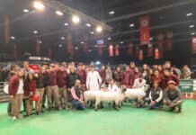 IPEA 291 brilla en la Expo Rural de Palermo: el colegio cordobés obtiene un título de Campeón Nacional