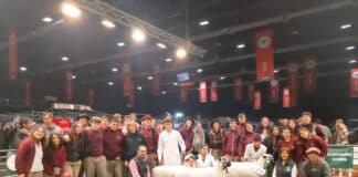 IPEA 291 brilla en la Expo Rural de Palermo: el colegio cordobés obtiene un título de Campeón Nacional