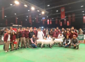 IPEA 291 brilla en la Expo Rural de Palermo: el colegio cordobés obtiene un título de Campeón Nacional