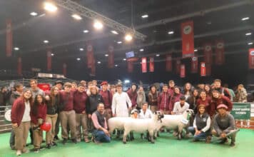 IPEA 291 brilla en la Expo Rural de Palermo: el colegio cordobés obtiene un título de Campeón Nacional