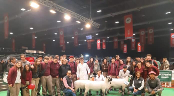 IPEA 291 brilla en la Expo Rural de Palermo: el colegio cordobés obtiene un título de Campeón Nacional