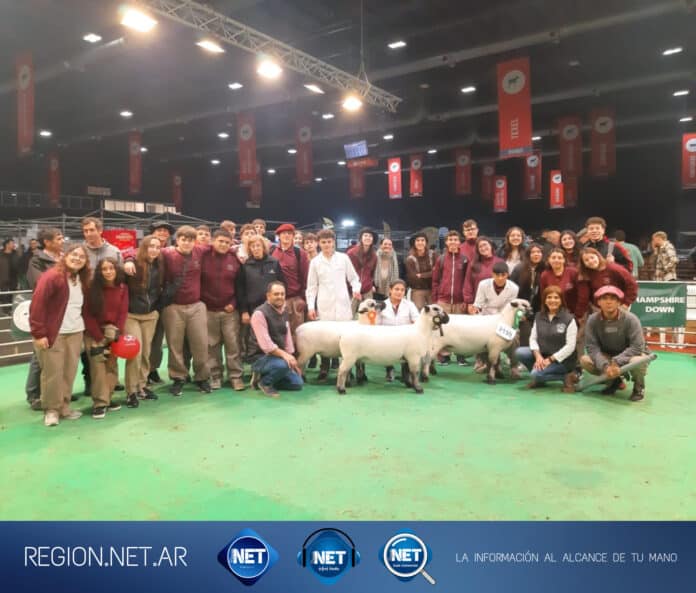 IPEA 291 brilla en la Expo Rural de Palermo: el colegio cordobés obtiene un título de Campeón Nacional