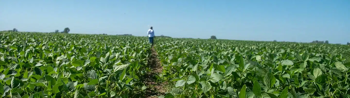 Bayer y Prodeman: Alianza estratégica para potenciar la agricultura regenerativa