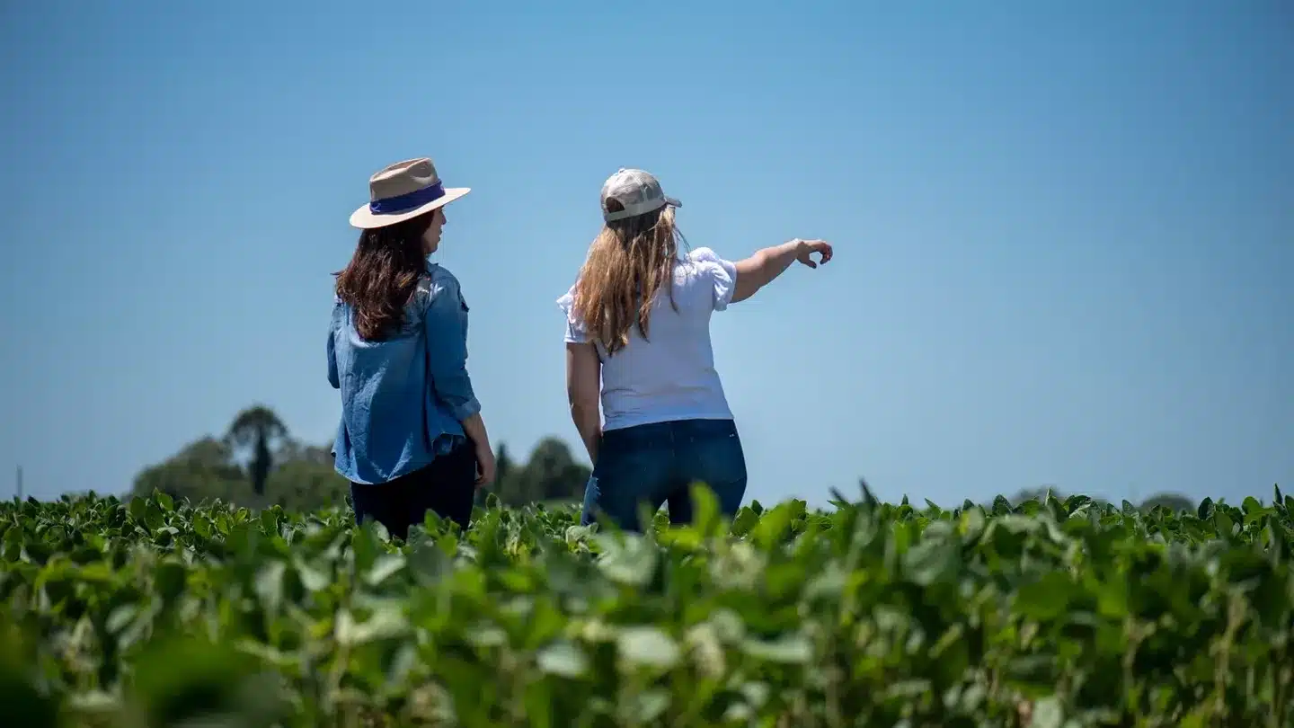 Bayer y Prodeman: Alianza estratégica para potenciar la agricultura regenerativa.