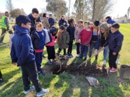 EcoHuellas: Plantación de árboles en General Cabrera para un Futuro Sostenible