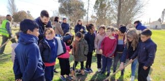 EcoHuellas: Plantación de árboles en General Cabrera para un Futuro Sostenible