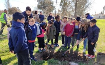 EcoHuellas: Plantación de árboles en General Cabrera para un Futuro Sostenible