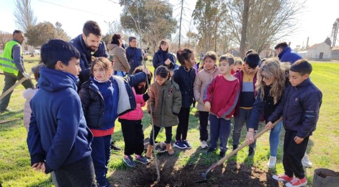 EcoHuellas: Plantación de árboles en General Cabrera para un Futuro Sostenible