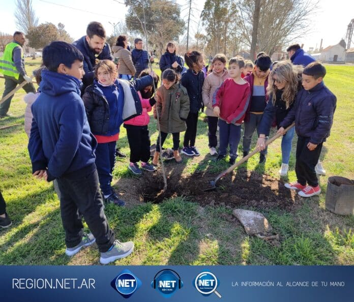 EcoHuellas: Plantación de árboles en General Cabrera para un Futuro Sostenible