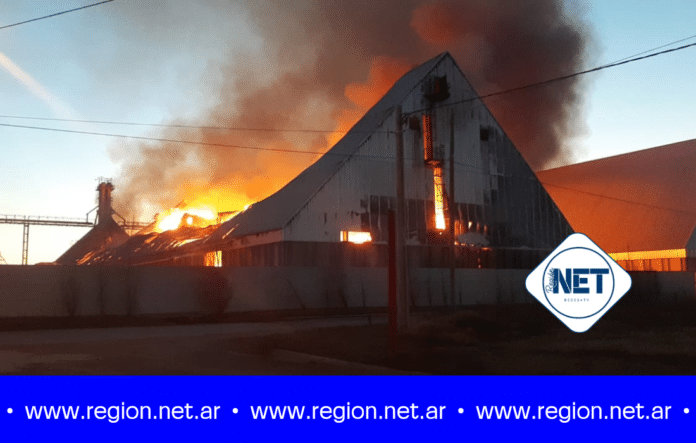 Dalmacio Vélez: Continúa activo el incendio en planta de maní AdecoAgro y advierten sobre posible cambio de viento