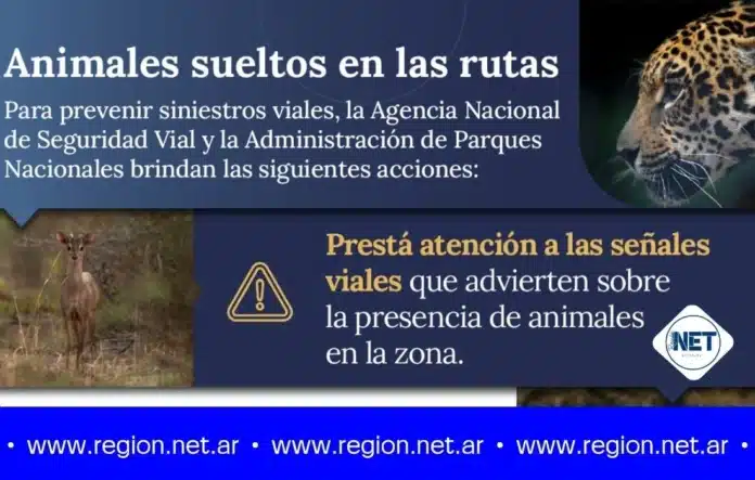 Animales sueltos en las rutas: Recomendaciones para prevenir siniestros viales