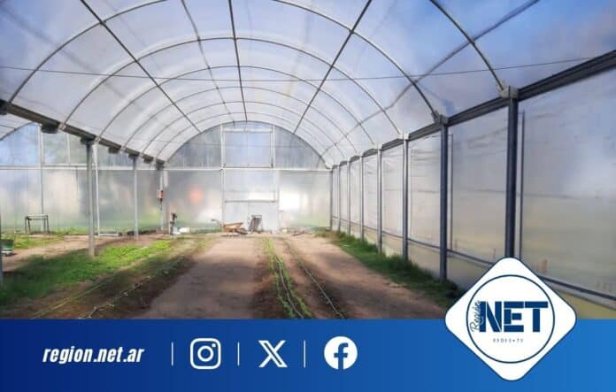 Maniagro Argentina donó un invernadero al IPEA 291 en su 50° aniversario