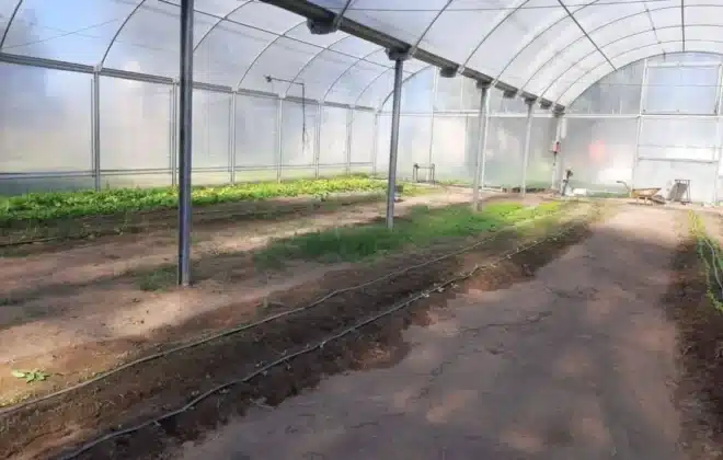 Maniagro Argentina donó un invernadero al IPEA 291 en su 50° aniversario