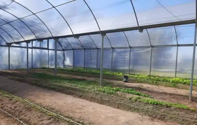 Maniagro Argentina donó un invernadero al IPEA 291 en su 50° aniversario
