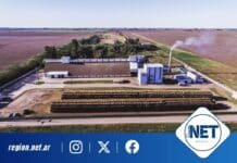 De residuo a energía limpia: cómo una empresa cordobesa resolvió una problemática ambiental que afectaba a toda una región. Prodeman