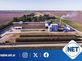 De residuo a energía limpia: cómo una empresa cordobesa resolvió una problemática ambiental que afectaba a toda una región. Prodeman
