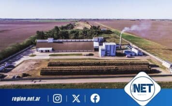 De residuo a energía limpia: cómo una empresa cordobesa resolvió una problemática ambiental que afectaba a toda una región. Prodeman