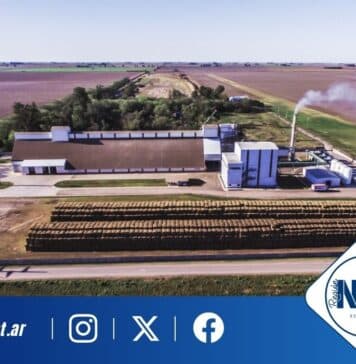 De residuo a energía limpia: cómo una empresa cordobesa resolvió una problemática ambiental que afectaba a toda una región. Prodeman