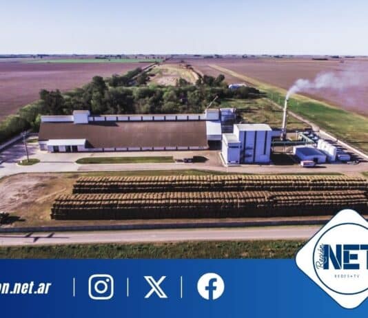 De residuo a energía limpia: cómo una empresa cordobesa resolvió una problemática ambiental que afectaba a toda una región. Prodeman