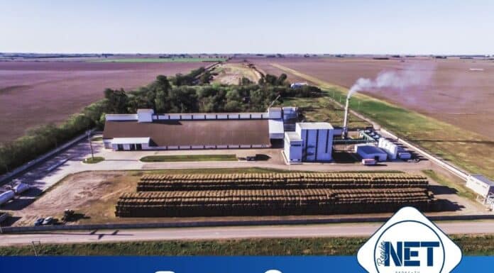 De residuo a energía limpia: cómo una empresa cordobesa resolvió una problemática ambiental que afectaba a toda una región. Prodeman