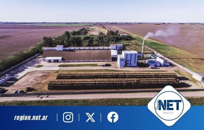 De residuo a energía limpia: cómo una empresa cordobesa resolvió una problemática ambiental que afectaba a toda una región. Prodeman