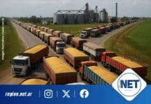 Histórica cosecha impulsa récord de transporte de granos hacia los puertos argentinos