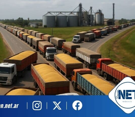 Histórica cosecha impulsa récord de transporte de granos hacia los puertos argentinos